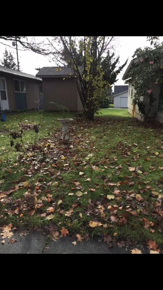 Local lawn mowing service experts serving Vancouver, WA - E & C Lawn Care Construction