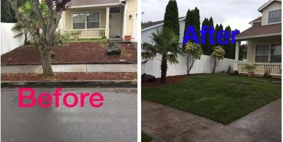 Professional landscape design in Vancouver, WA - E & C Lawn Care Construction
