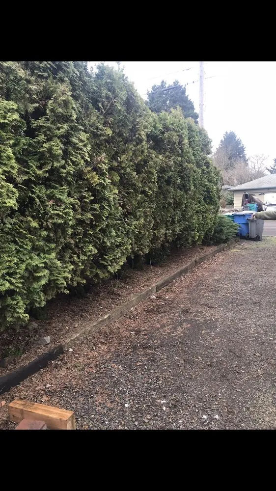 Expert yard cleanup service near you across Vancouver, WA - E & C Lawn Care Construction