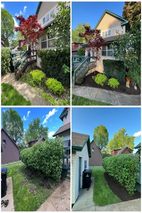 Professional lawn mowing service with custom design in Lakemoor, IL by E & D Landscaping