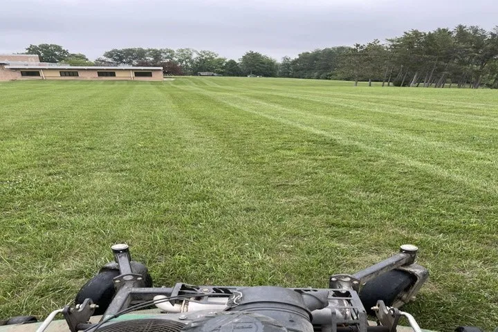 Affordable yard cleanup service in Lakemoor, IL by E & D Landscaping