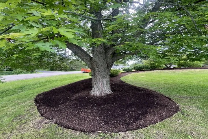 Top-rated lawn mowing service in Lakemoor, IL by E & D Landscaping