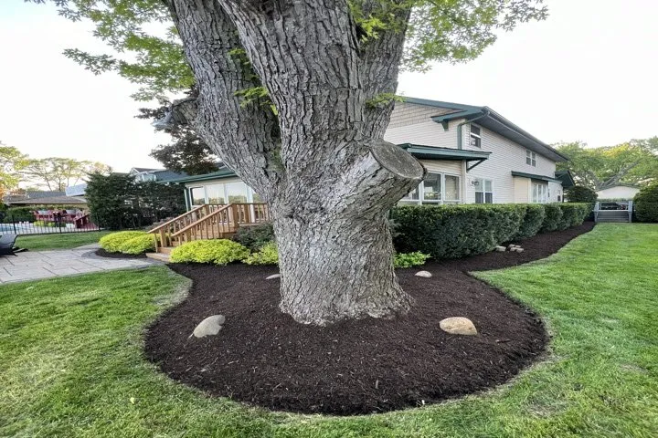 Professional outdoor landscaping in Lakemoor, IL - E & D Landscaping