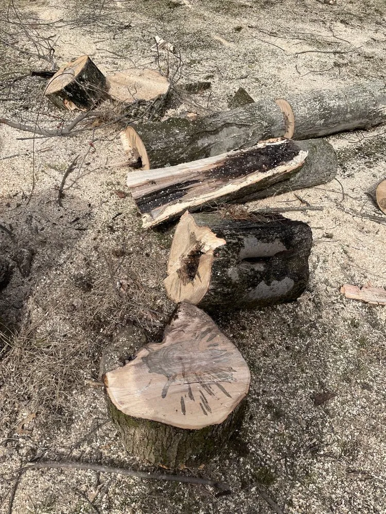 Professional yard cleanup service experts serving Mount Kisco, NY - E & D Salazar’s Landscaping