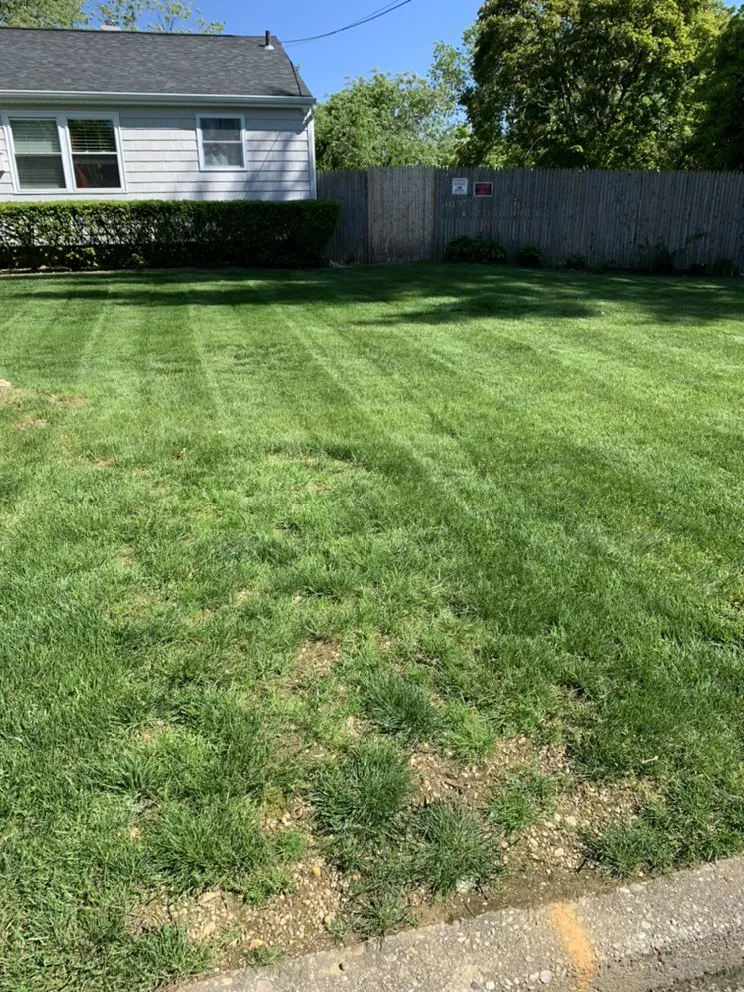 Top-rated yard maintenance in Brentwood, NY - E & E Landscaping