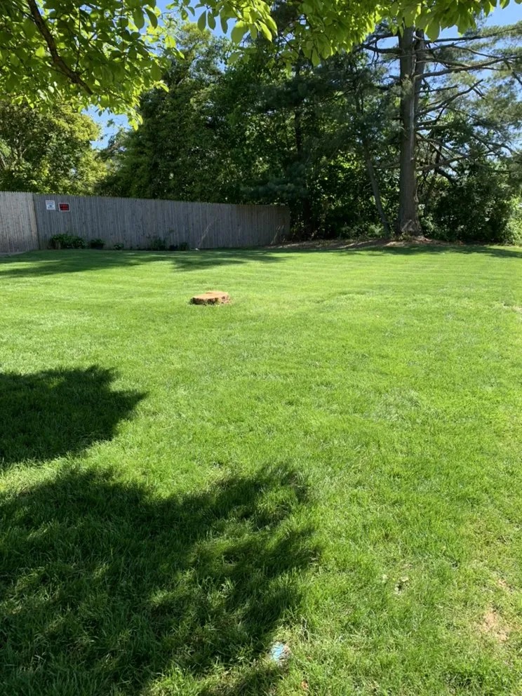 Top-rated lawn care service experts serving Brentwood, NY - E & E Landscaping