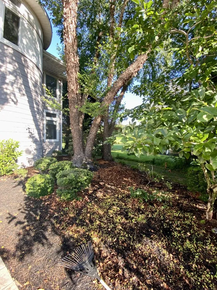 Expert landscaping services experts serving Lakewood, NJ - E & E Landscaping