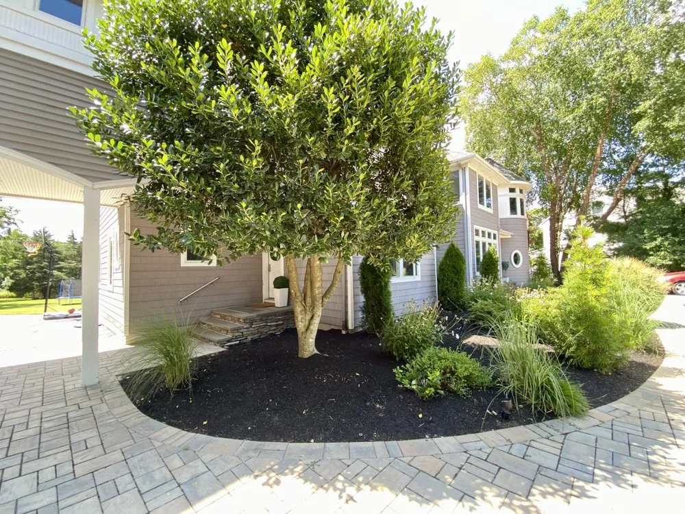 Top-rated yard maintenance in Lakewood, NJ - E & E Landscaping