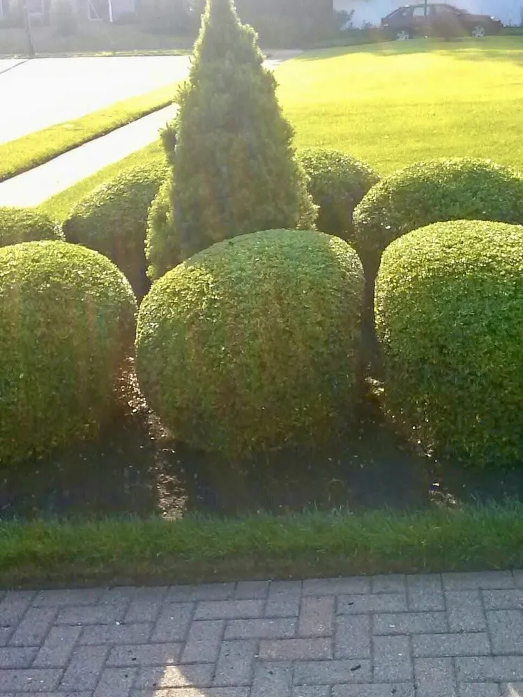 Custom garden landscaping for year-round maintenance in Lakewood, NJ by E & E Landscaping
