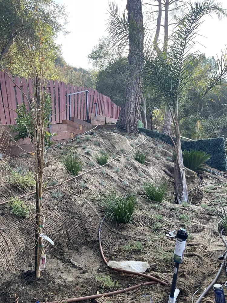 Expert landscape installation in Woodland Hills, CA - E & E Landscaping