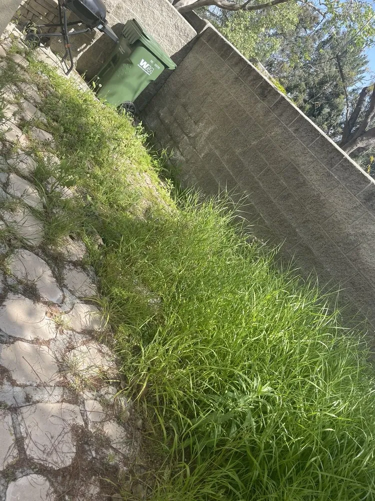 Expert lawn mowing service in Woodland Hills, CA - E & E Landscaping