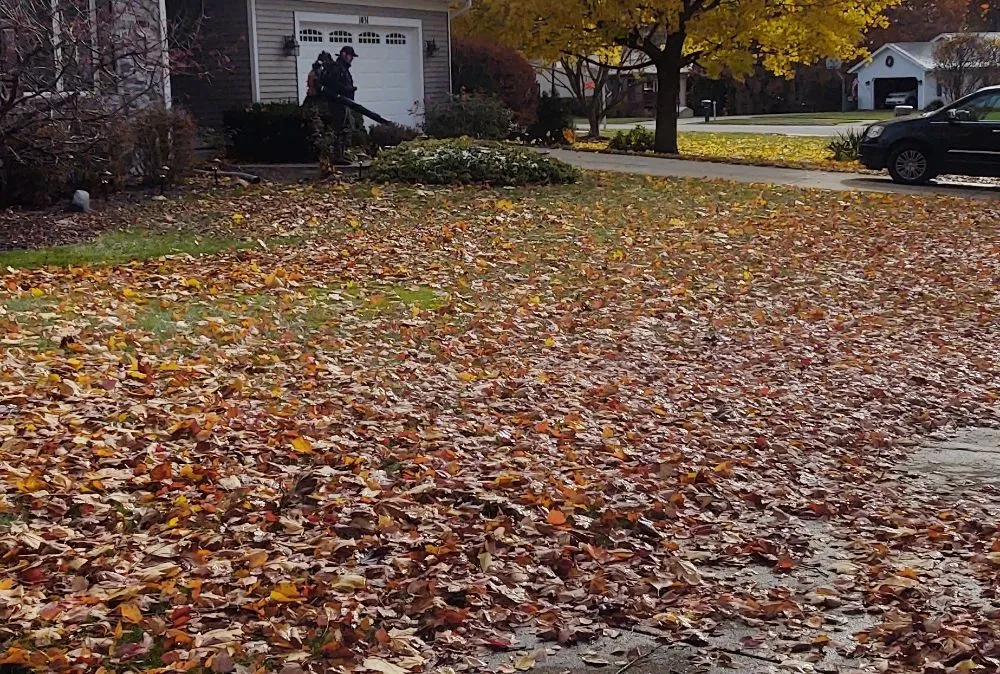 Affordable residential landscaping in Wyoming, MI by E & E Lawn and Snow Services