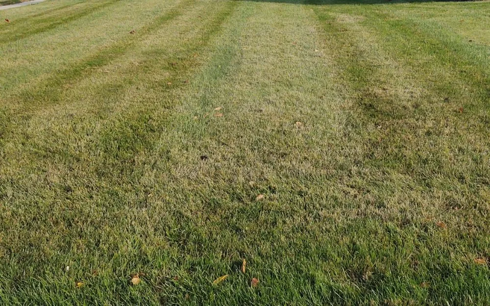 Custom garden landscaping in Wyoming, MI - E & E Lawn and Snow Services