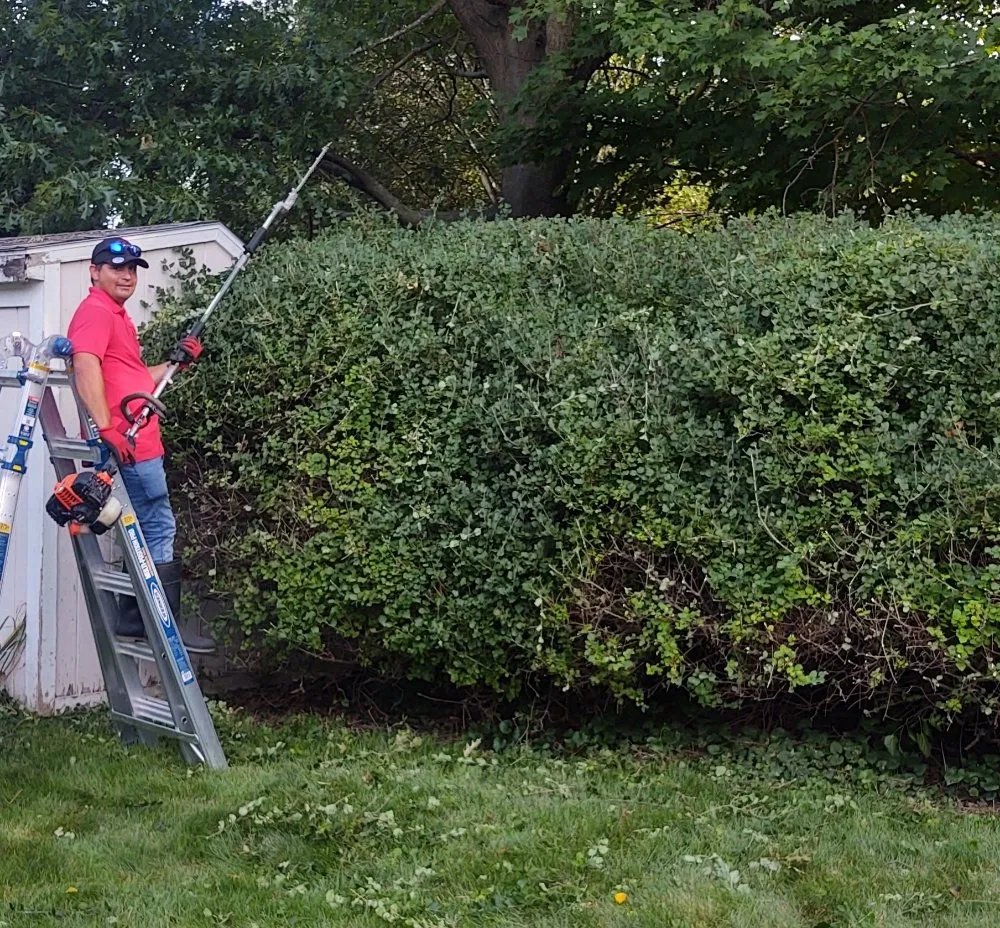 Local lawn mowing service in Wyoming, MI by E & E Lawn and Snow Services