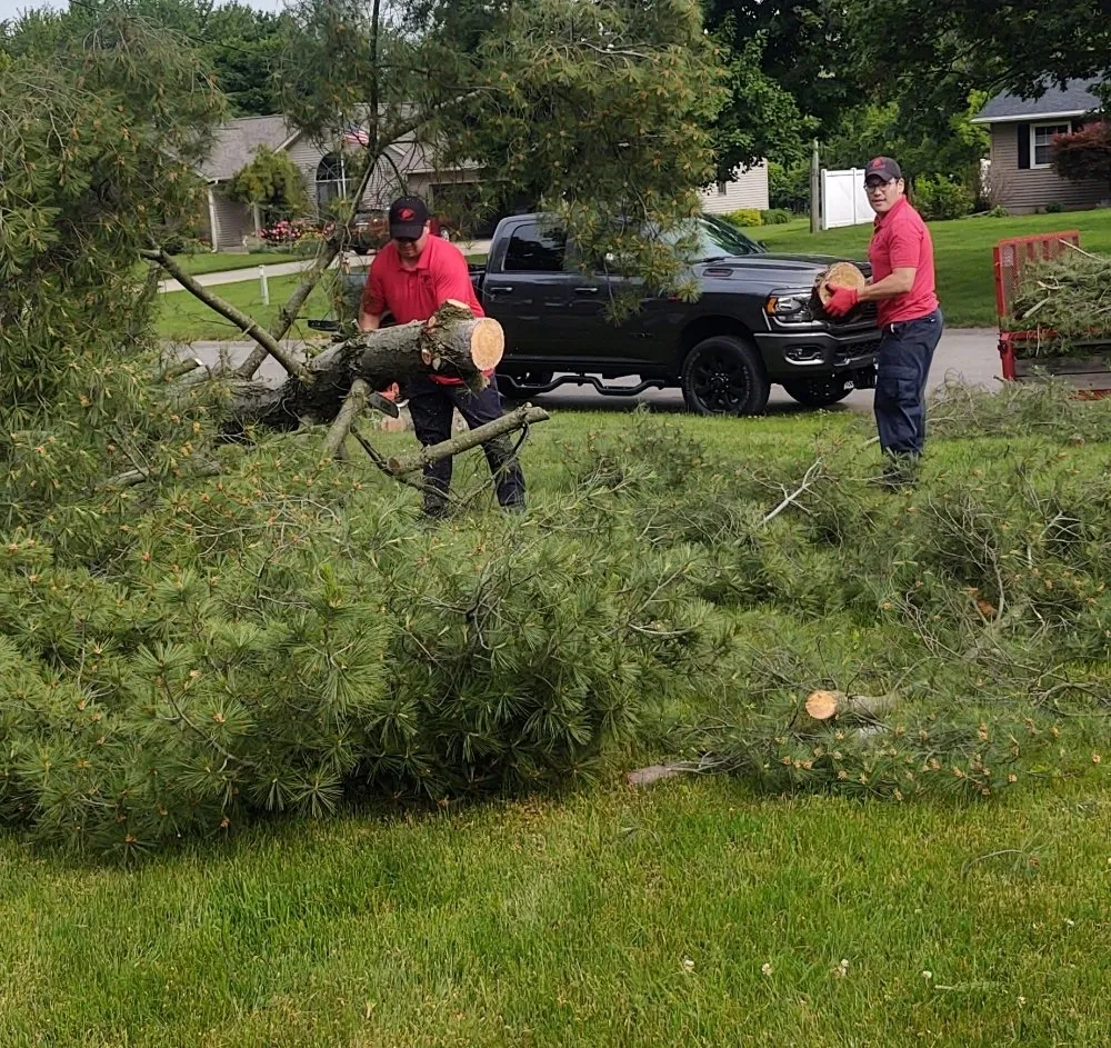 Local residential landscaping near you in Wyoming, MI by E & E Lawn and Snow Services