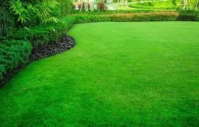 Reliable lawn care service in Fargo, ND by E & E Services