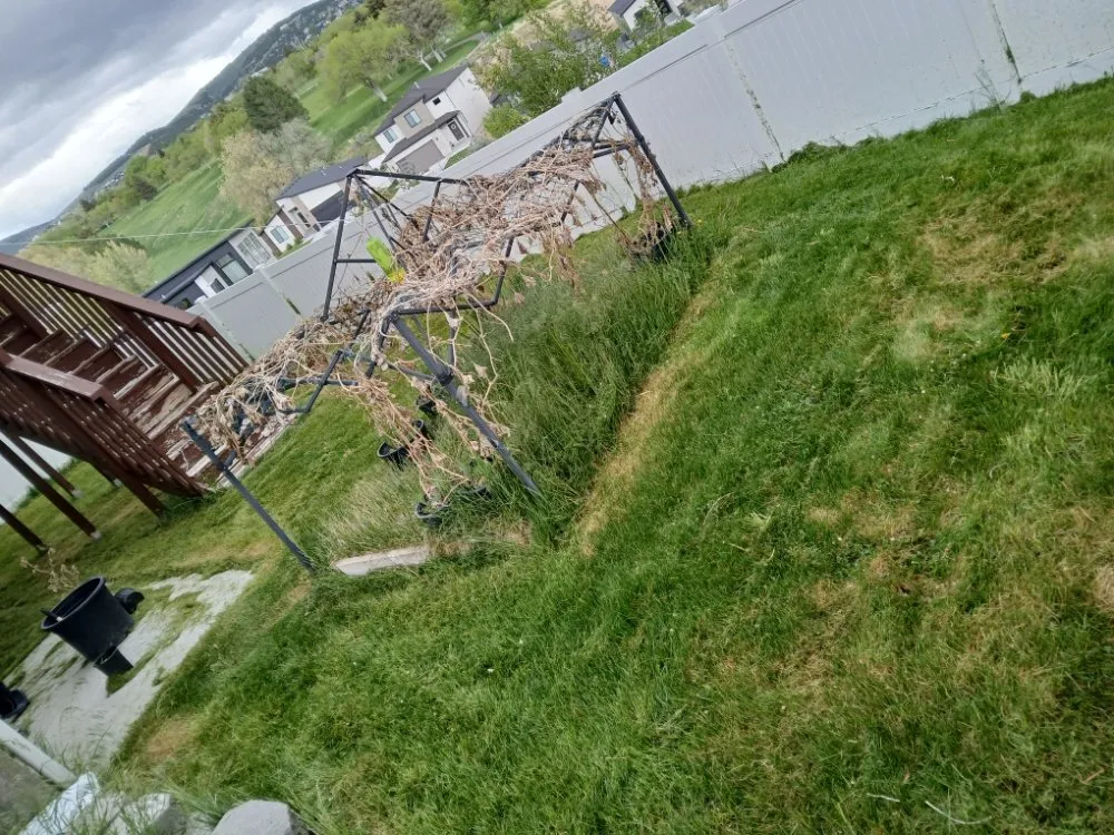 Top-rated yard maintenance in Pocatello, ID by E & G Mow & Trim Lawn Care