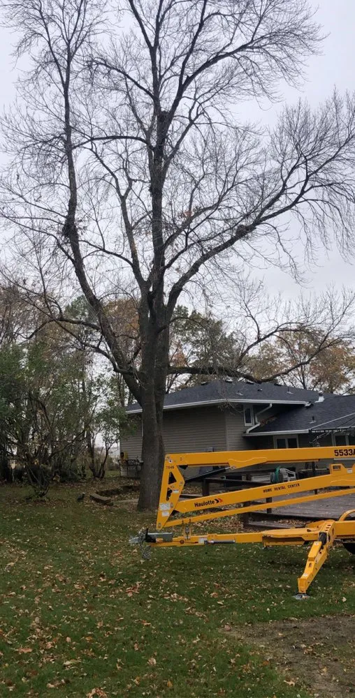 Local yard cleanup service for beautiful yards in Gilman, IA by E & H Tree Service