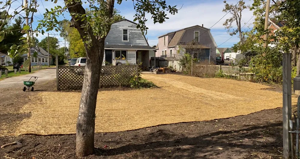 Reliable landscape design in Gilman, IA by E & H Tree Service