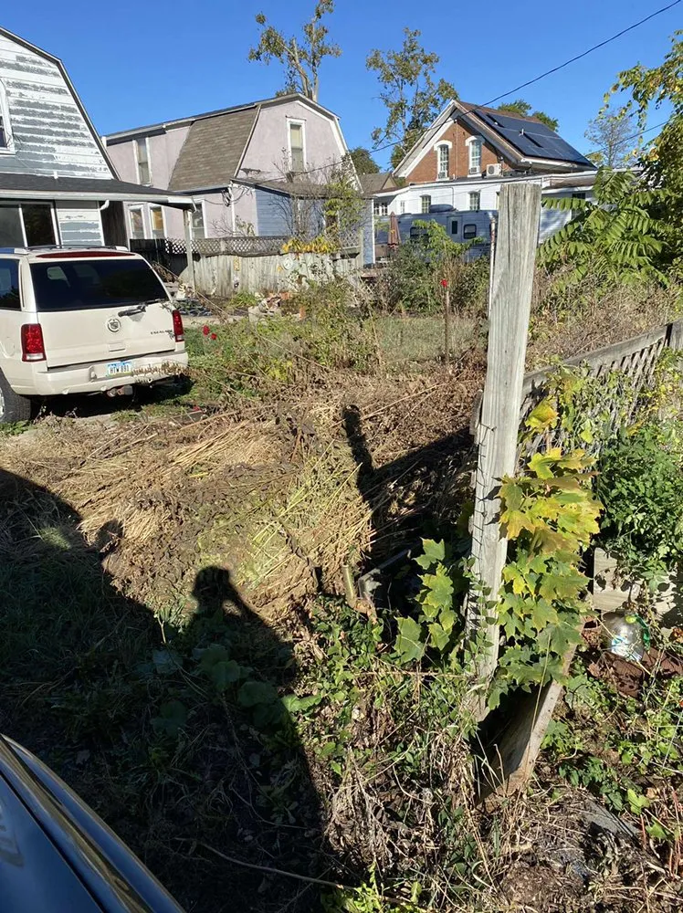 Expert yard maintenance for beautiful yards across Gilman, IA - E & H Tree Service