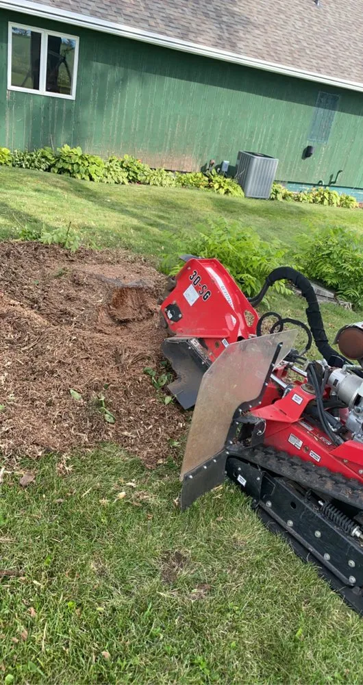 Expert yard cleanup service in Gilman, IA by E & H Tree Service