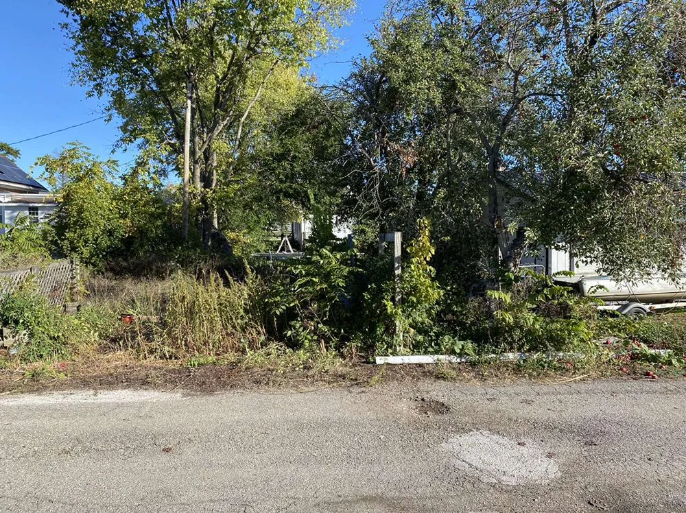 Expert yard maintenance experts serving Gilman, IA - E & H Tree Service