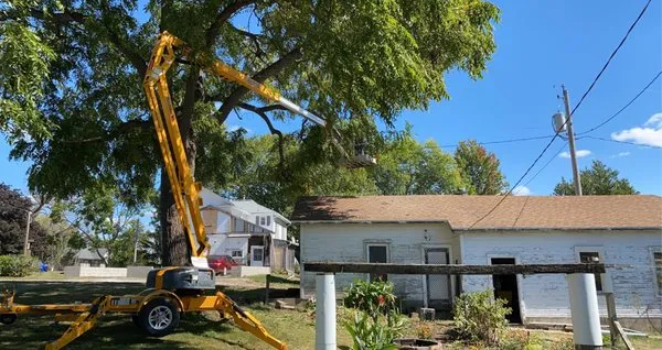 E & H Tree Service