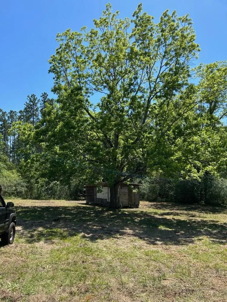 Expert residential landscaping in Ashford, AL by E & j clean up