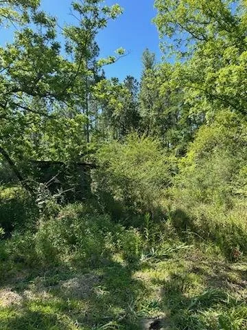 Trusted residential landscaping for outdoor upgrades in Ashford, AL by E & j clean up