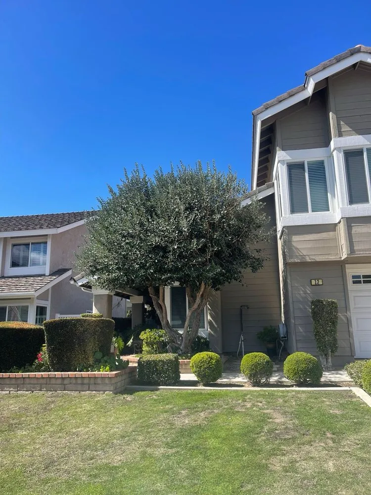 Custom landscaping services for year-round maintenance across Anaheim, CA - E & J Landscape and Gardening