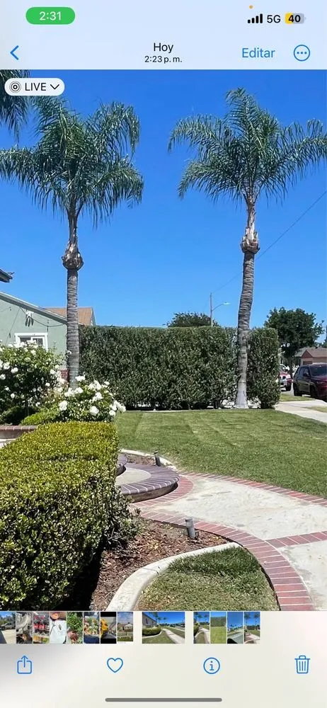 Top-rated lawn care service in Anaheim, CA by E & J Landscape and Gardening