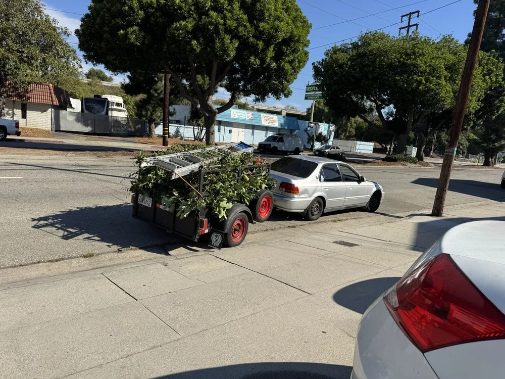 Affordable residential landscaping in Anaheim, CA by E & J Landscape and Gardening