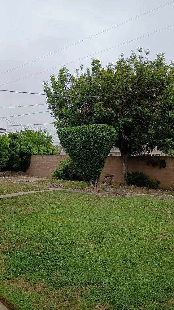 Trusted outdoor landscaping for beautiful yards across Anaheim, CA - E & J Landscape and Gardening