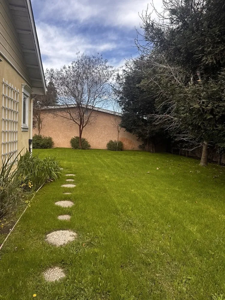 Expert landscape design in Anaheim, CA - E & J Landscape and Gardening