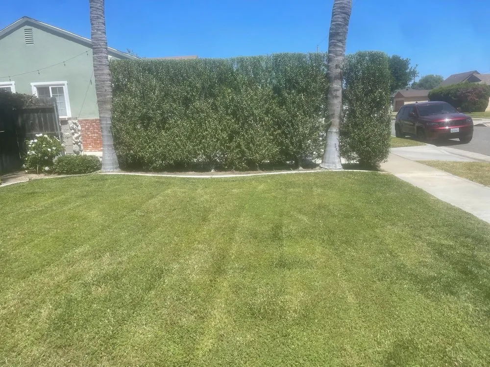 Reliable garden landscaping for homes across Anaheim, CA - E & J Landscape and Gardening