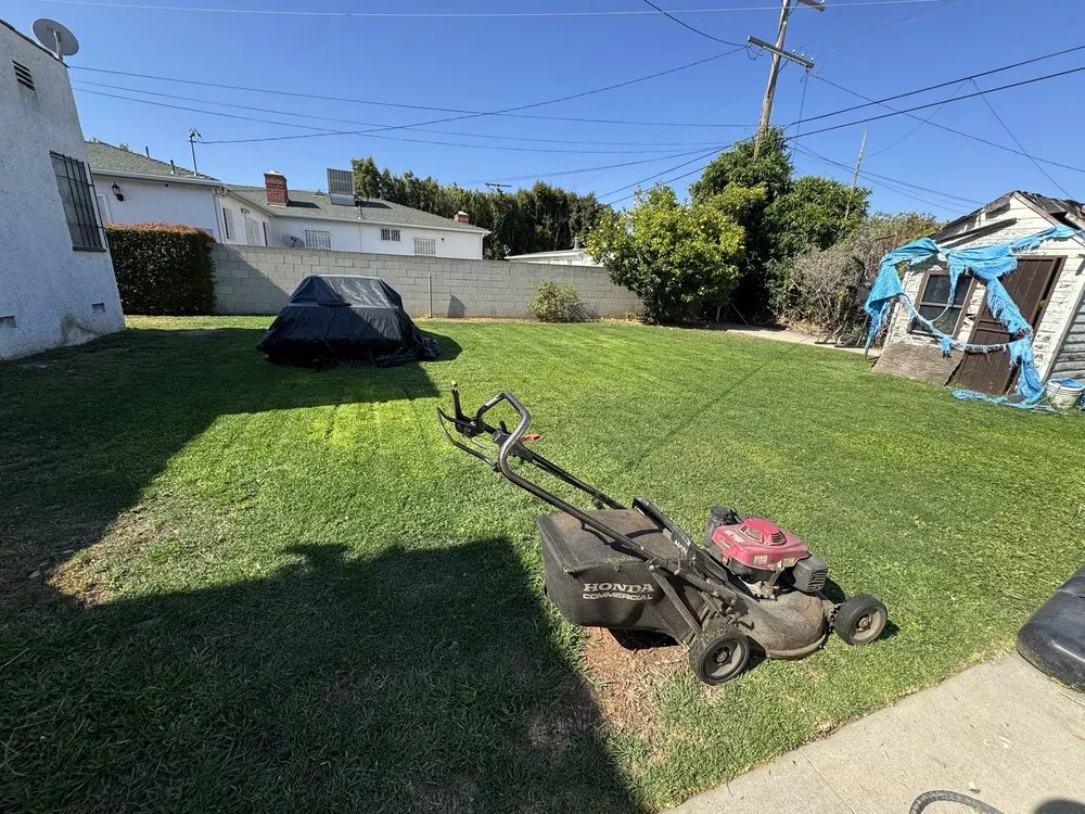 Affordable residential landscaping for homes across Anaheim, CA - E & J Landscape and Gardening