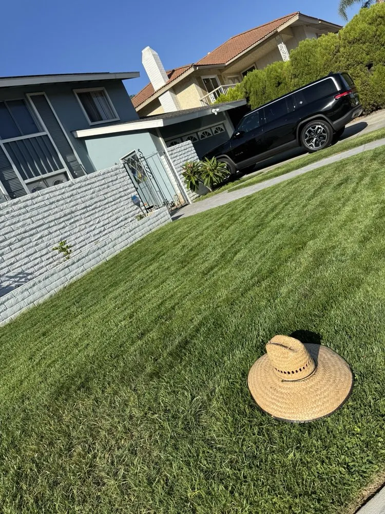 Custom lawn mowing service for year-round maintenance across Anaheim, CA - E & J Landscape and Gardening