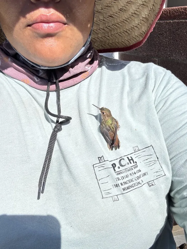 Trusted landscape design in Anaheim, CA - E & J Landscape and Gardening