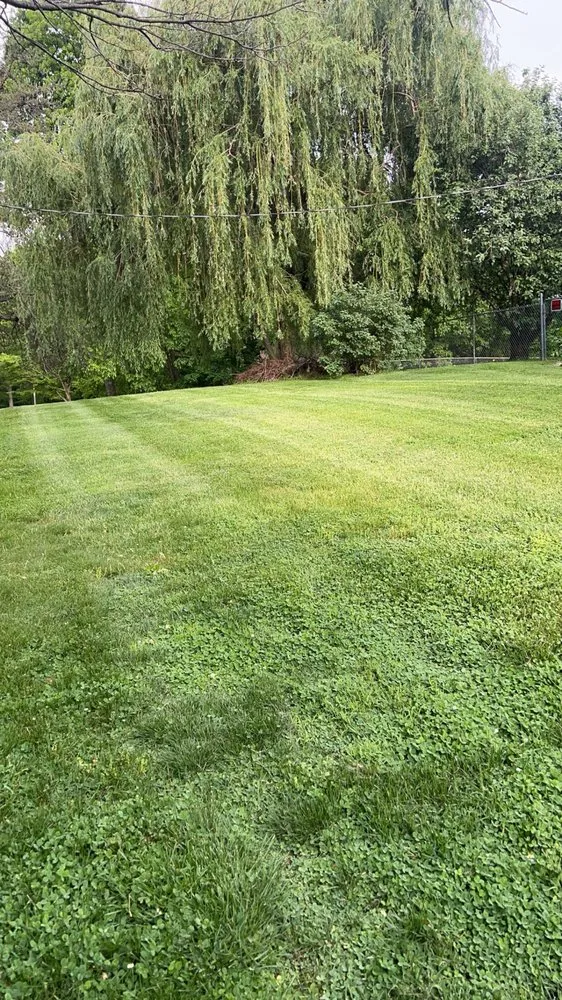 Reliable lawn mowing service in Georgetown, IN - E & J Landscaping
