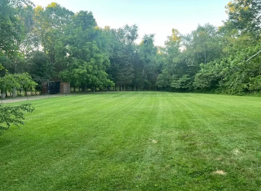 Top-rated landscape design for beautiful yards across Georgetown, IN - E & J Landscaping