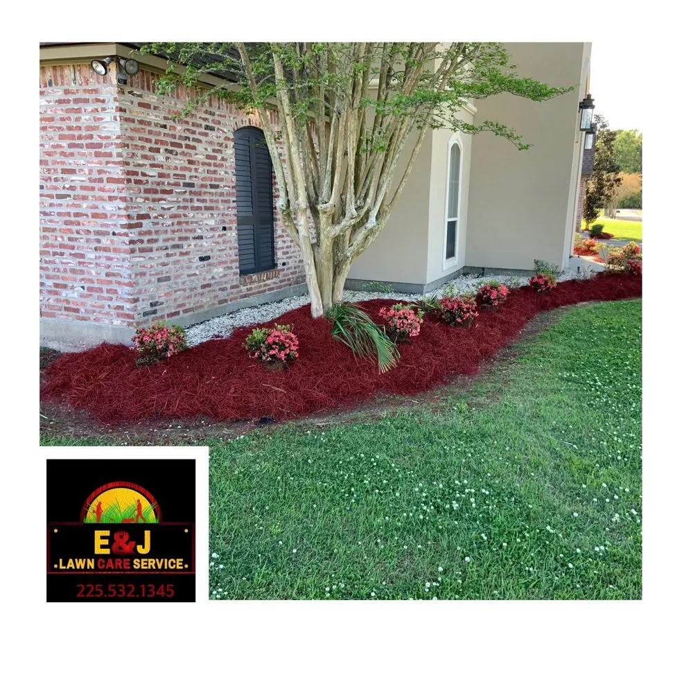 Custom yard cleanup service in Addis, LA - E & J Lawn Care Service
