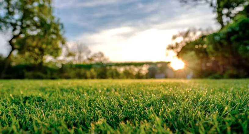 Custom lawn mowing service in Troy, OH - E & J Lawn Care