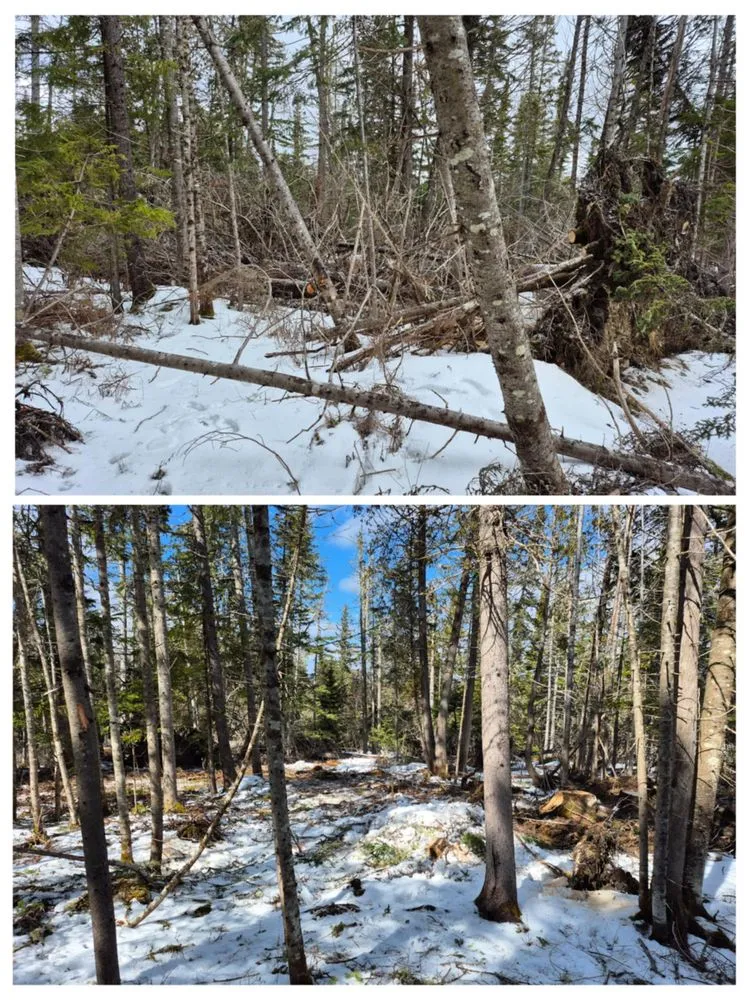 Top-rated outdoor landscaping in Rangeley, ME by E & J Property Maintenance