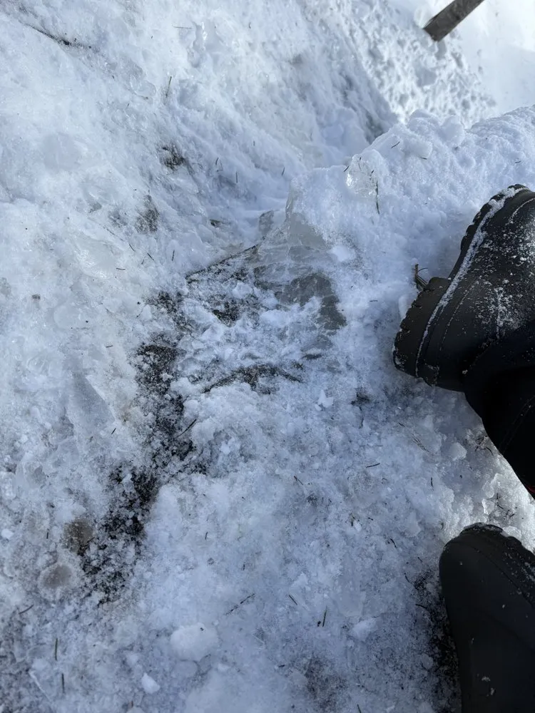 Trusted residential landscaping in Rangeley, ME by E & J Property Maintenance