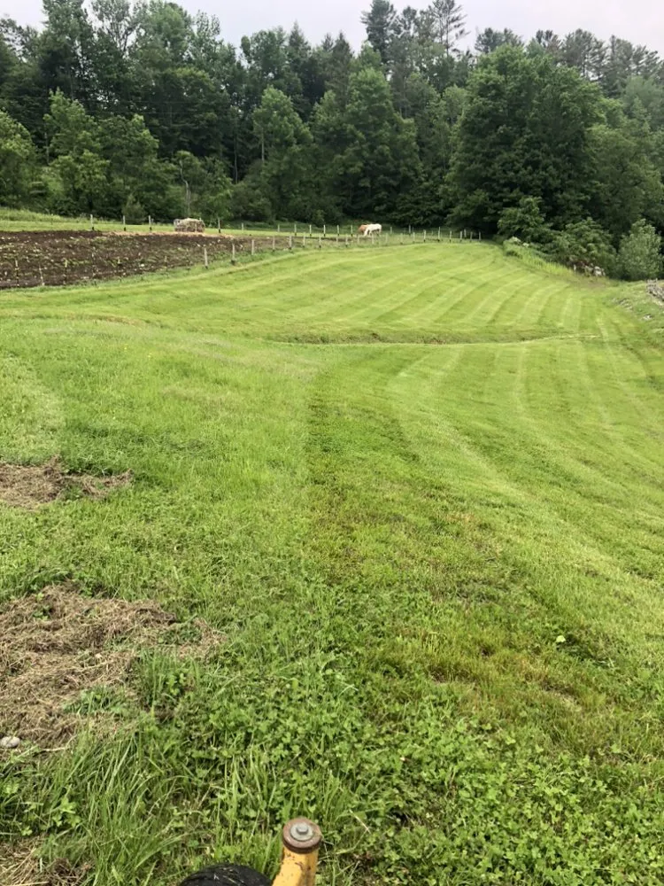 Top-rated lawn mowing service in New Haven, VT - E & K Landscaping and Lawn Care