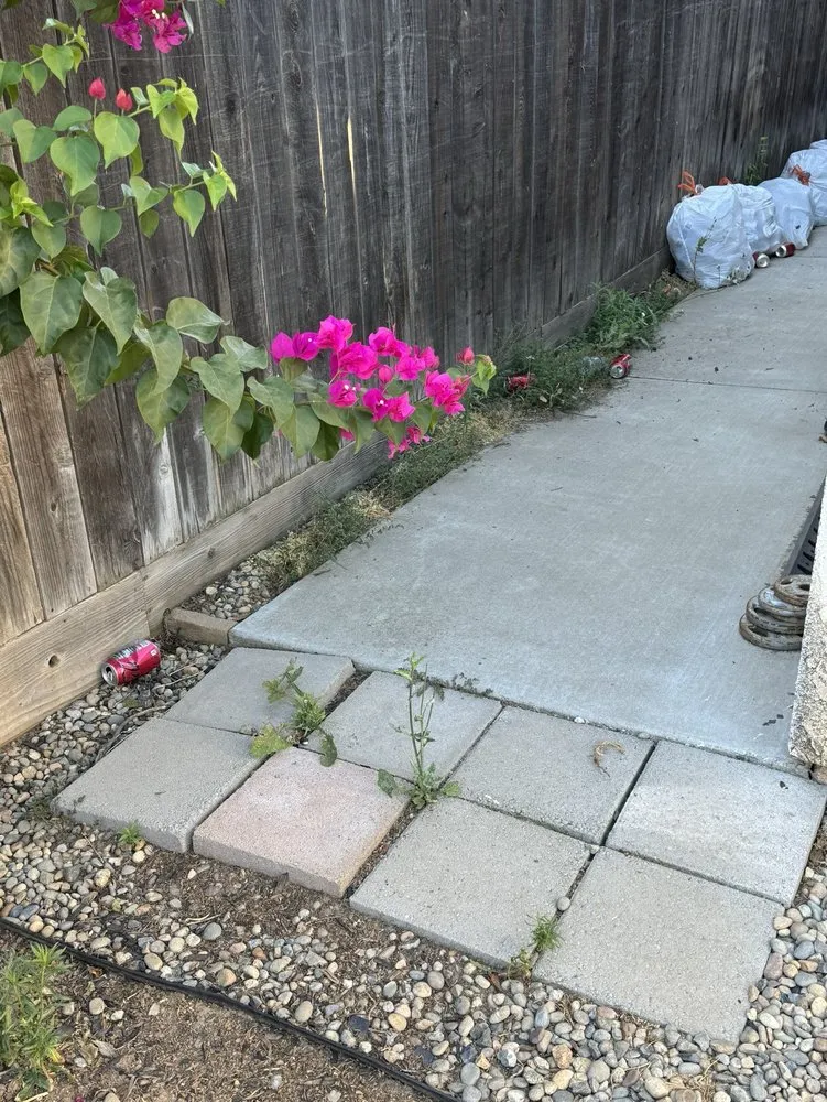 Top-rated lawn care service near you across Fresno, CA - E & K Lawn Service