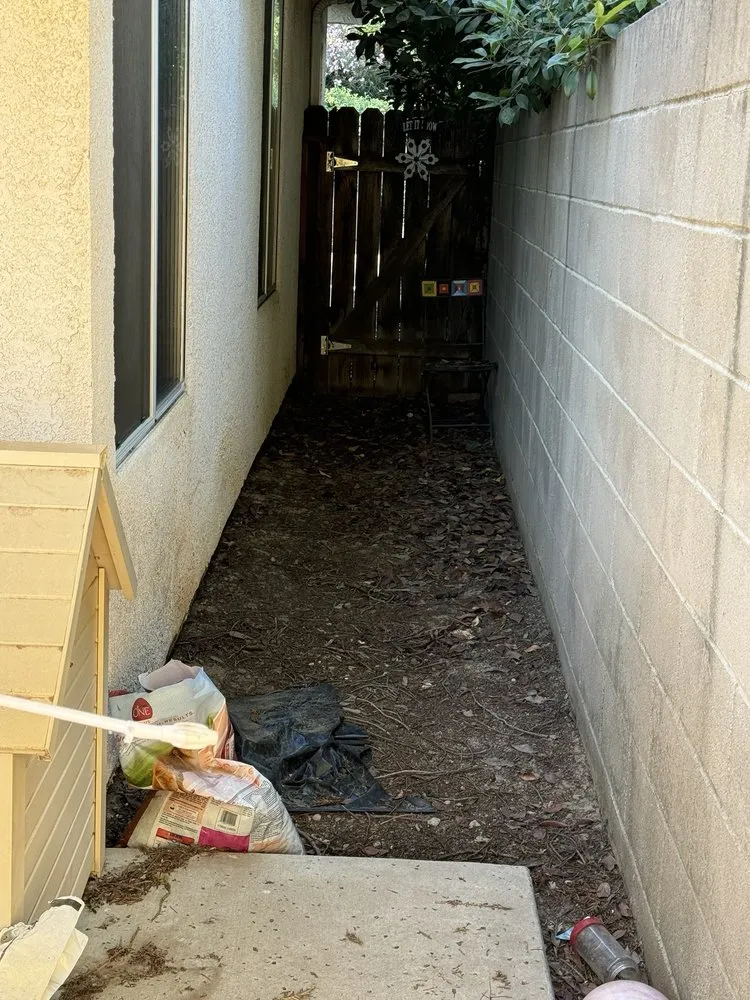 Top-rated yard cleanup service in Fresno, CA - E & K Lawn Service