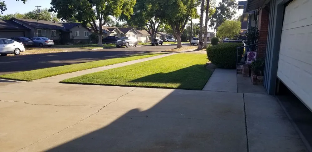 Top-rated yard cleanup service experts serving Fresno, CA - E & K Lawn Service
