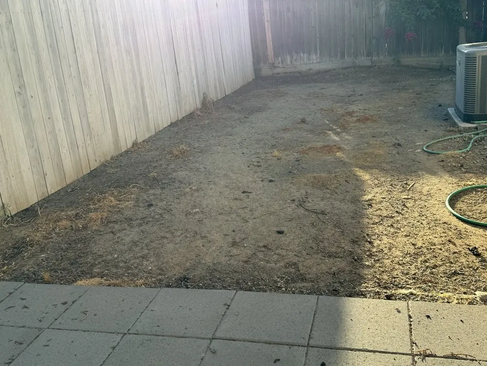 Professional outdoor landscaping for year-round maintenance across Fresno, CA - E & K Lawn Service