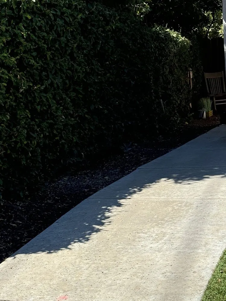 Affordable lawn mowing service experts serving Fresno, CA - E & K Lawn Service